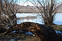 Lago Piccolo di Avigliana ghiacciato_090